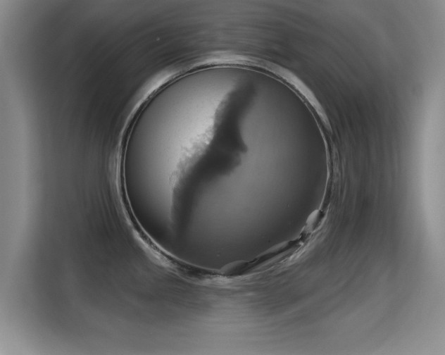 X0000115331245200911091239