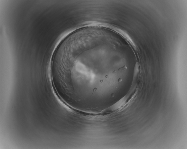 X0000115331247200911091239