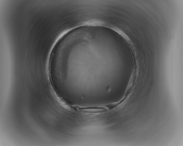 X0000115331248200911091239