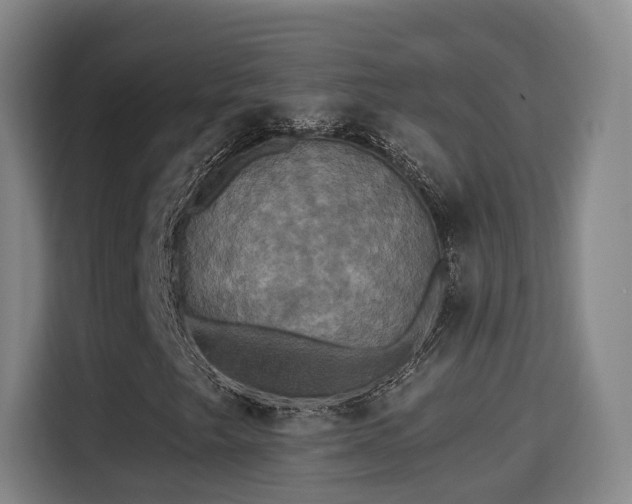 X0000115331249200911091238