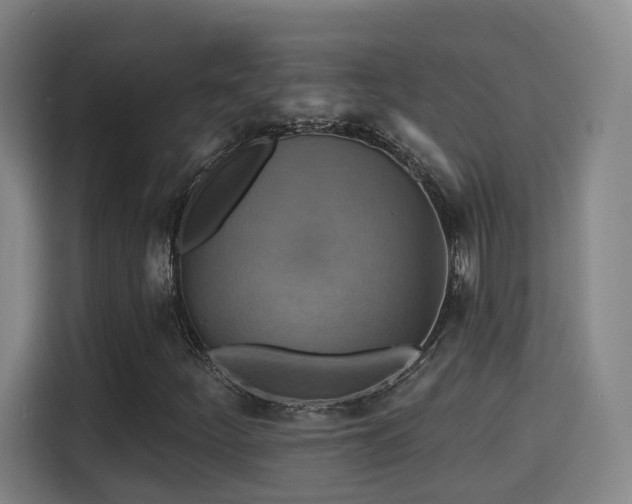 X0000115331252200911091238