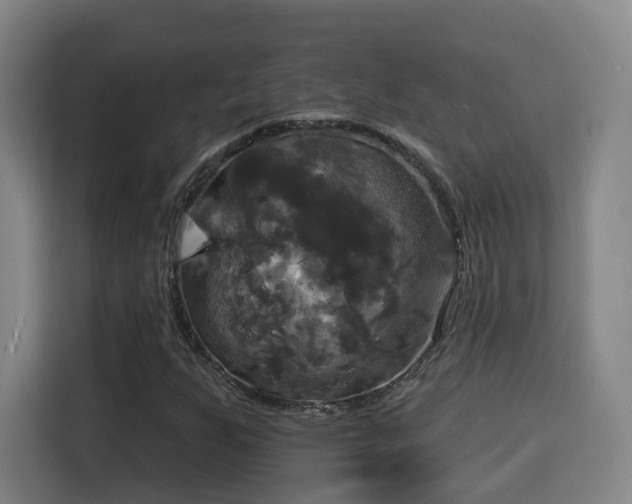 X0000115331255200911091238