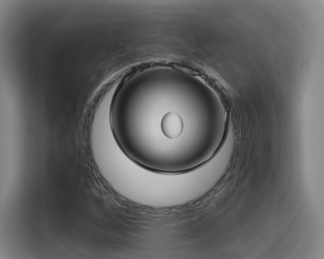 X0000115331256200911091238