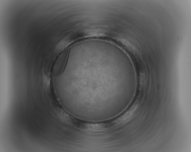 X0000115331257200911091238