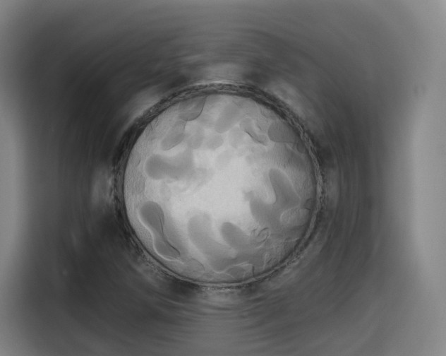 X0000115331258200911091238