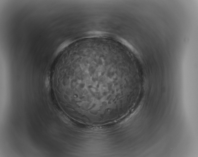 X0000115331259200911091238