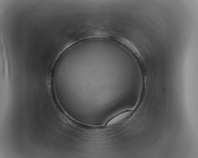 X0000115331260200911091238