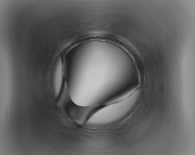 X0000115331261200911091238