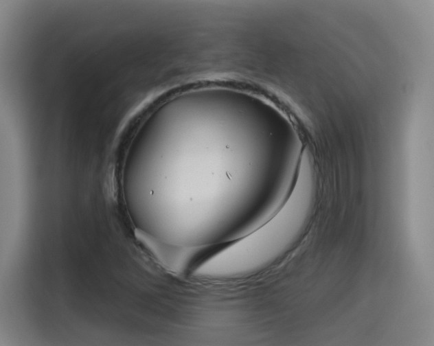 X0000115331262200911091238