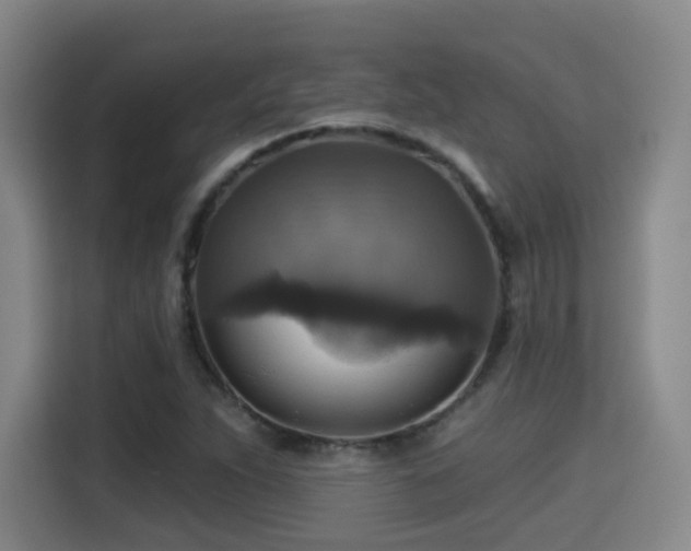 X0000115331263200911091238
