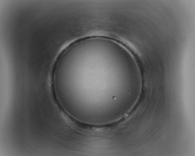 X0000115331264200911091238