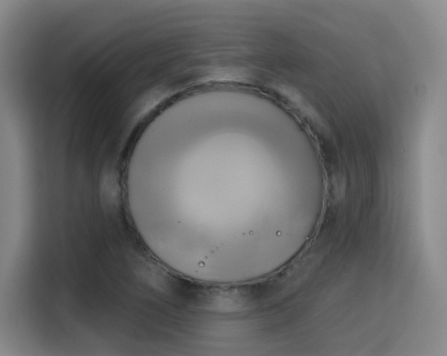 X0000115331266200911091238
