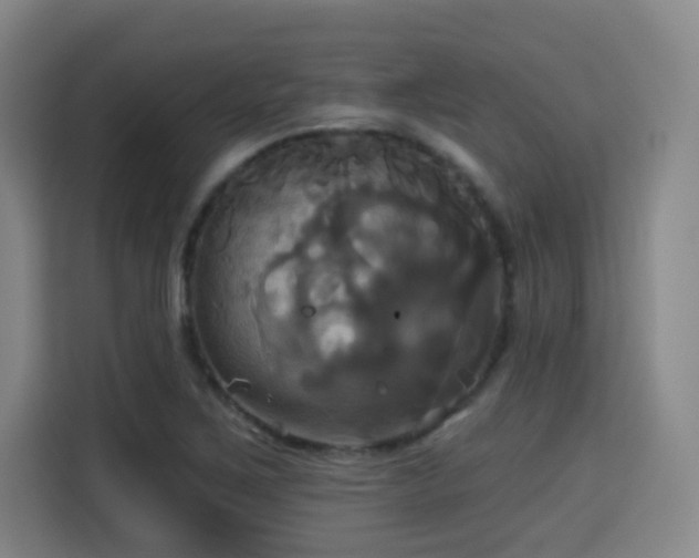 X0000115331267200911091238