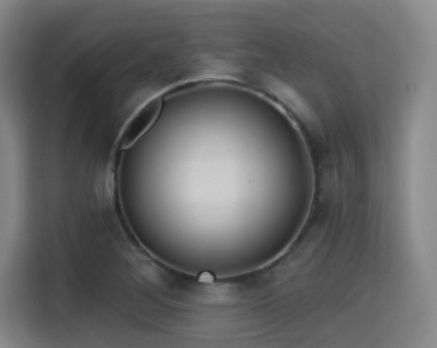 X0000115331268200911091238