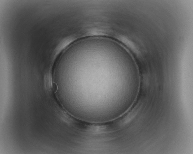 X0000115331269200911091238