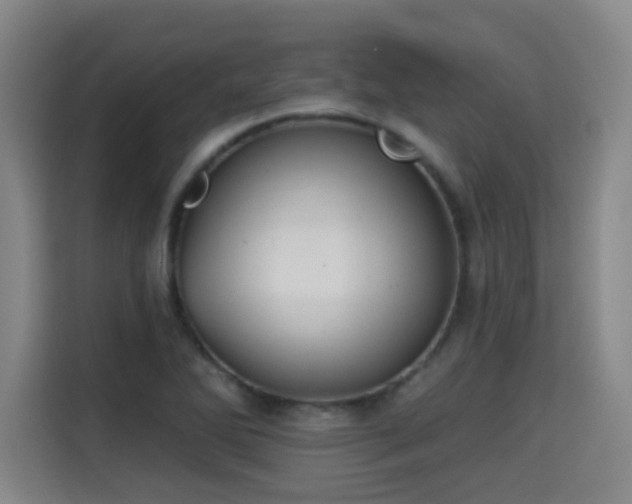 X0000115331270200911091238