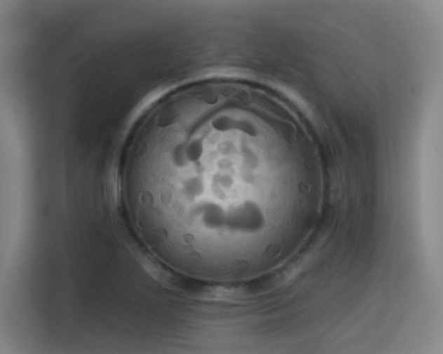 X0000115331271200911091238