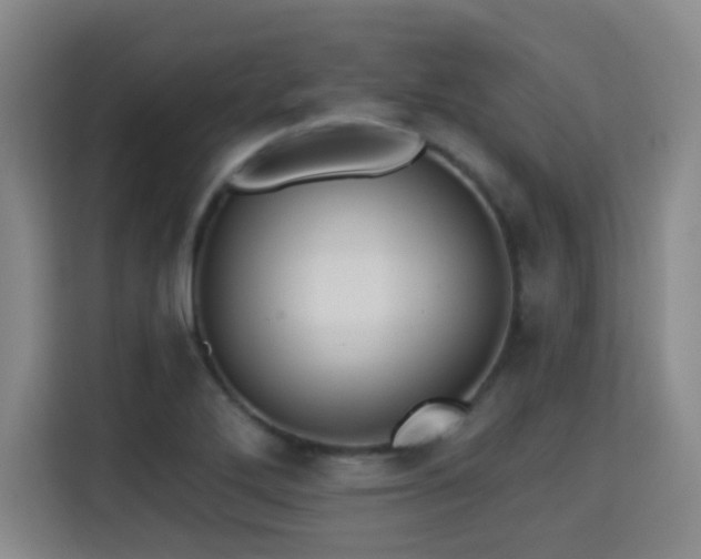 X0000115331272200911091238