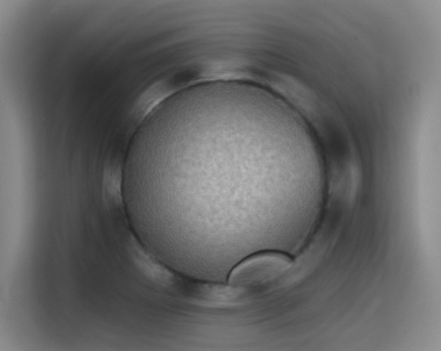X0000115331273200911091238