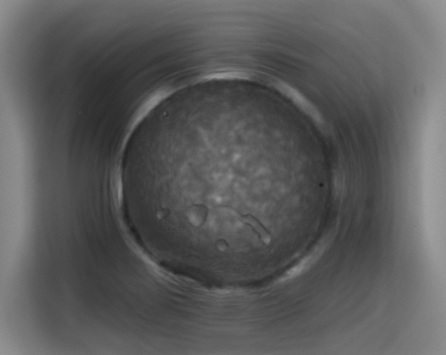 X0000115331274200911091238