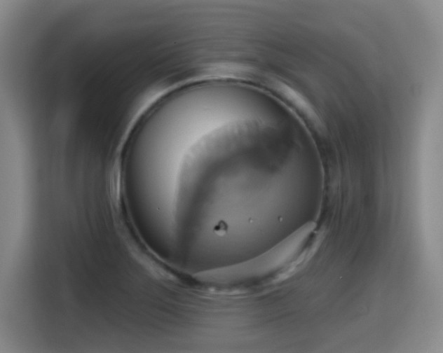 X0000115331275200911091238