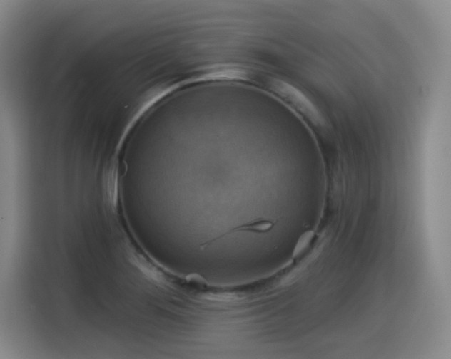 X0000115331276200911091238