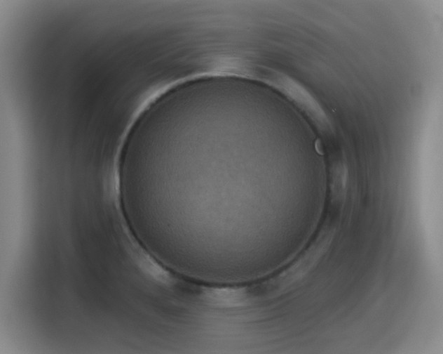 X0000115331280200911091238
