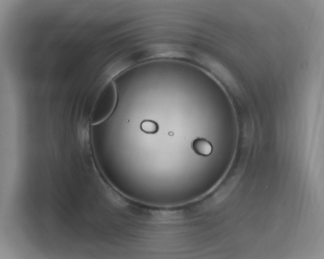 X0000115331281200911091238