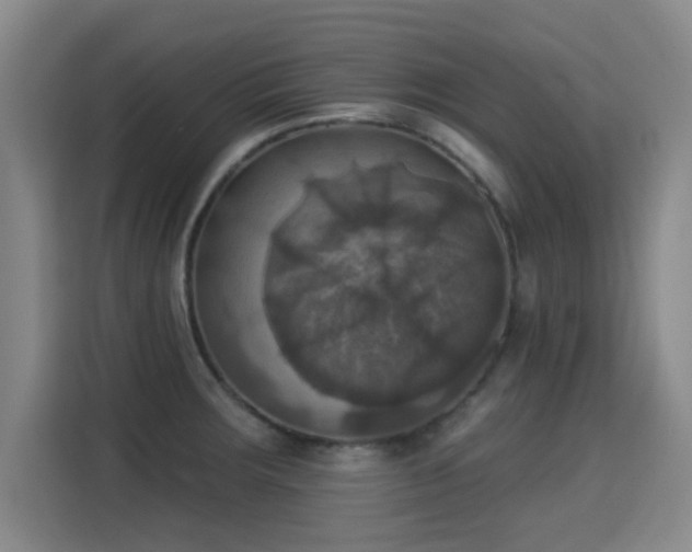 X0000115331283200911091238