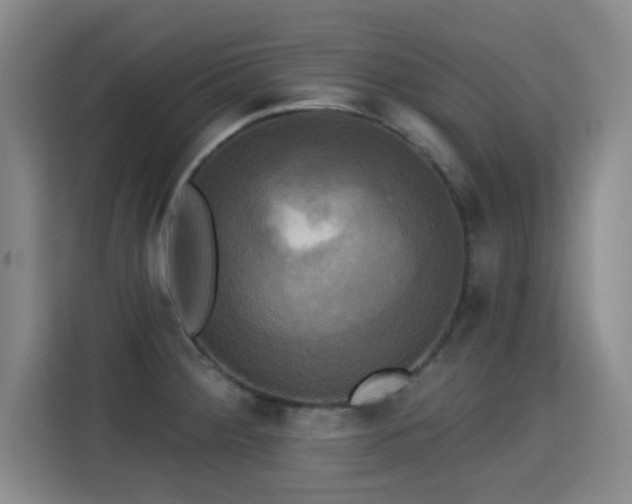 X0000115331284200911091238