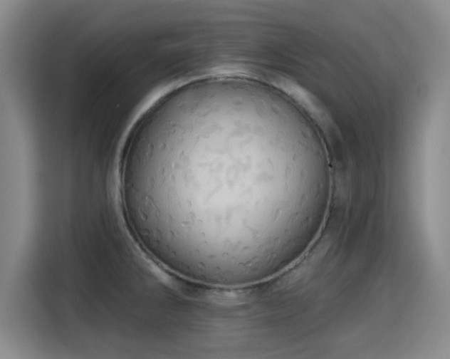 X0000115331286200911091237