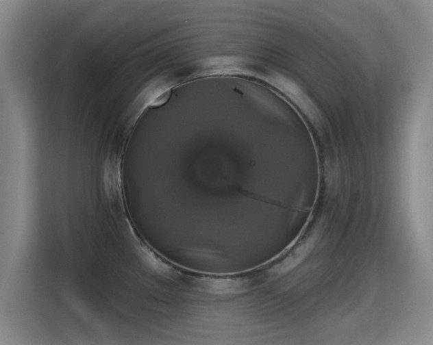 X0000115331289200911091237