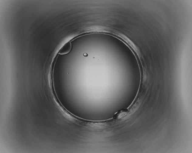 X0000115331293200911091237