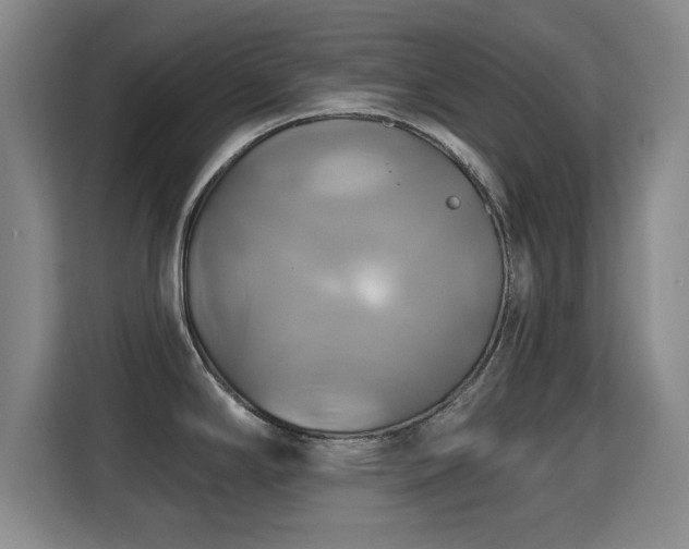 X0000115331294200911091237