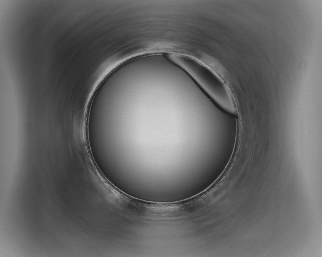 X0000115331296200911091237