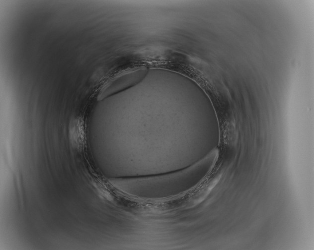X0000115331298200911091237