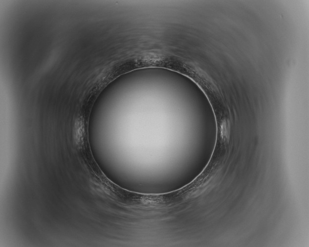 X0000115331299200911091237