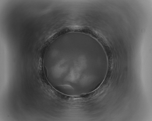 X0000115331301200911091237