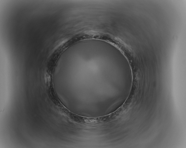 X0000115331302200911091237