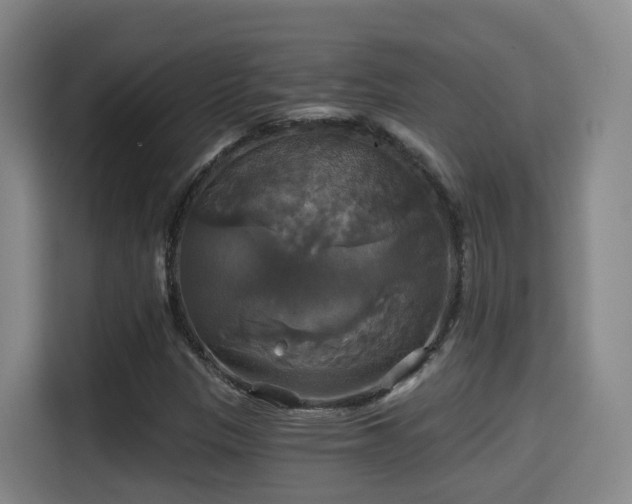 X0000115331305200911091237