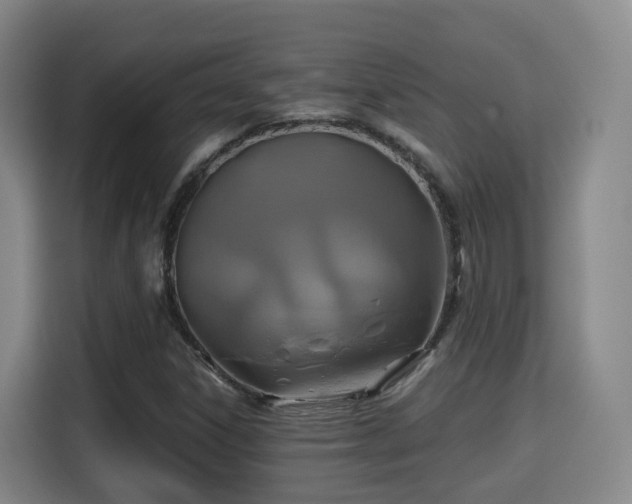 X0000115331306200911091237