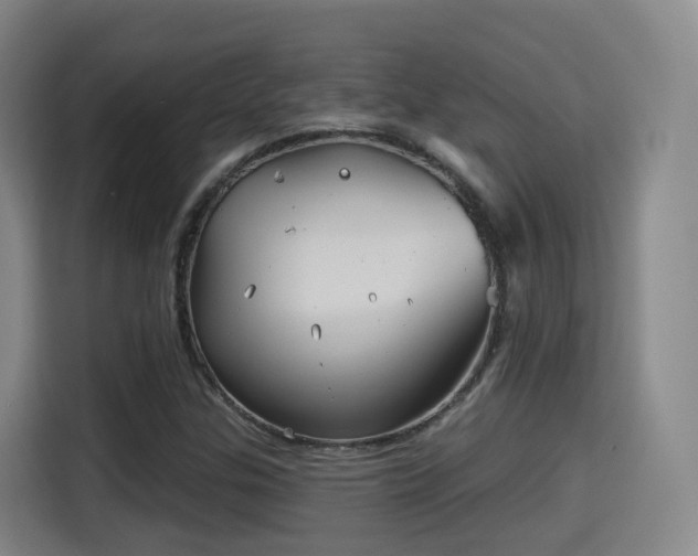 X0000115331307200911091237