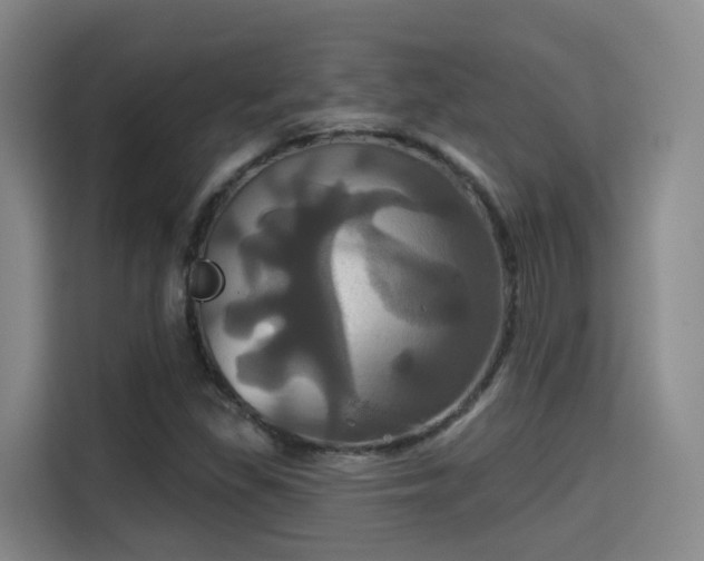 X0000115331309200911091237