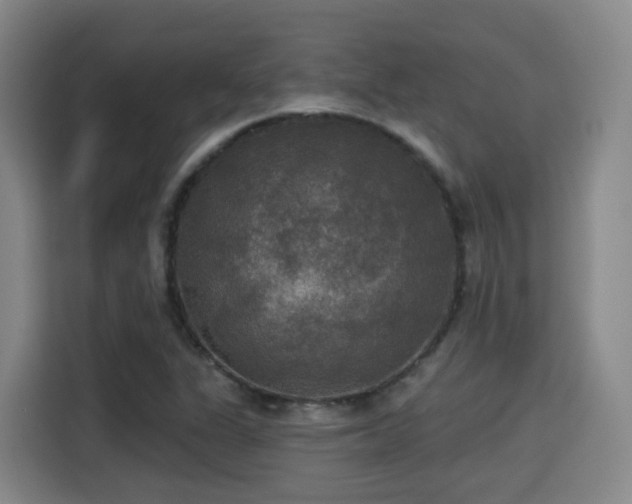 X0000115331311200911091237