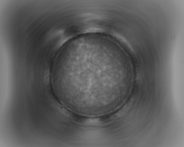 X0000115331313200911091237