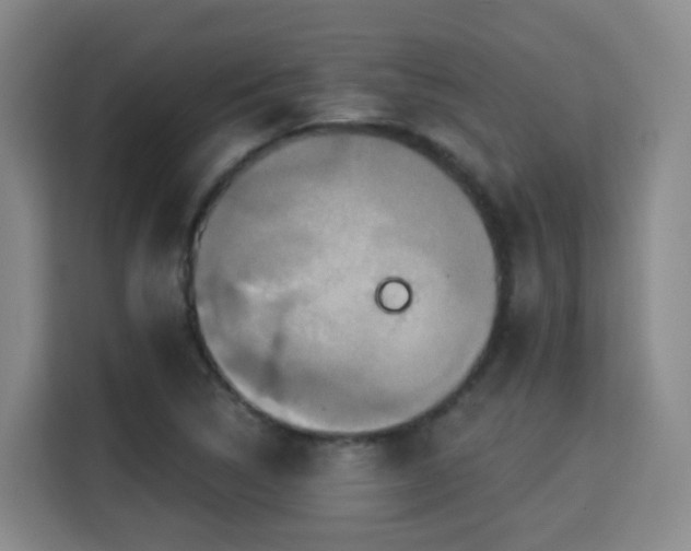 X0000115331314200911091237