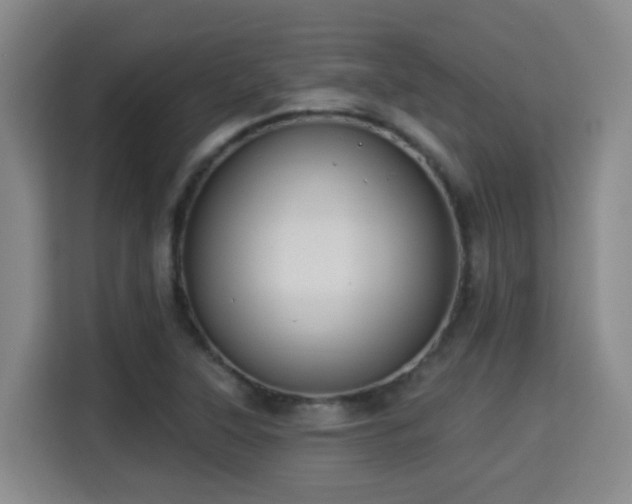 X0000115331315200911091237