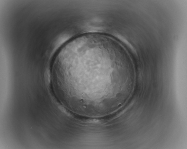 X0000115331317200911091237