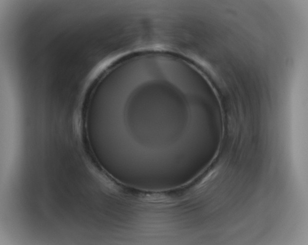 X0000115331319200911091237
