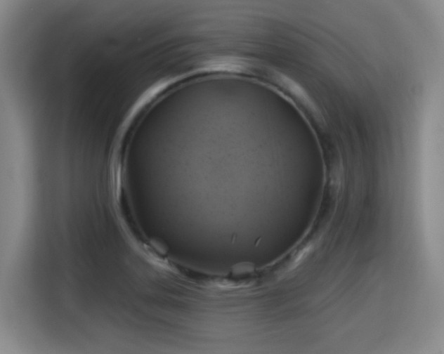 X0000115331323200911091237